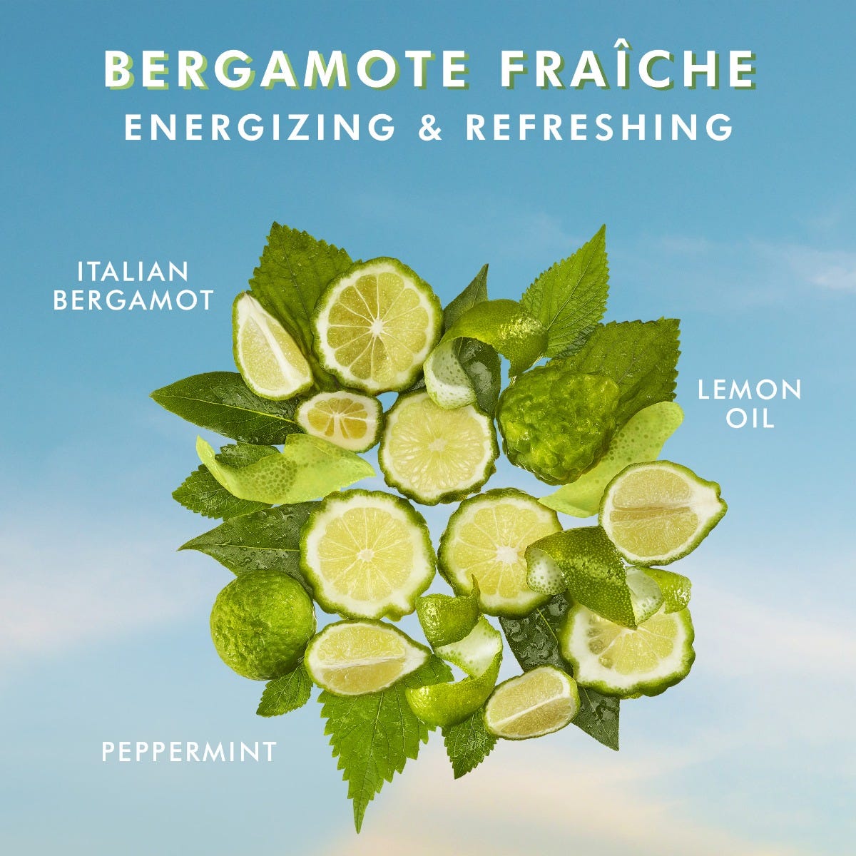 Body Lotion Bergamote Fra che - Image 4