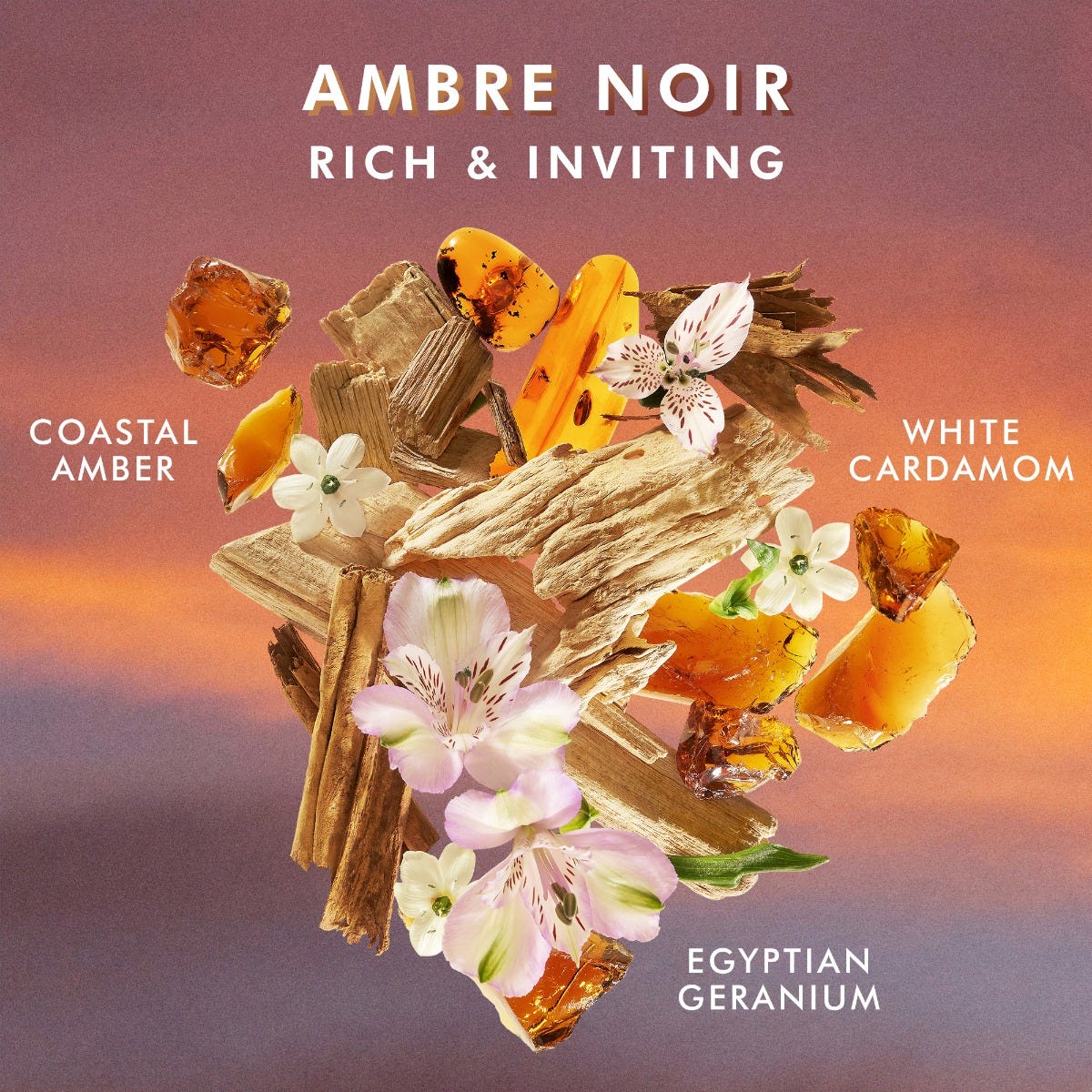Hand Wash Ambre Noir - Image 4